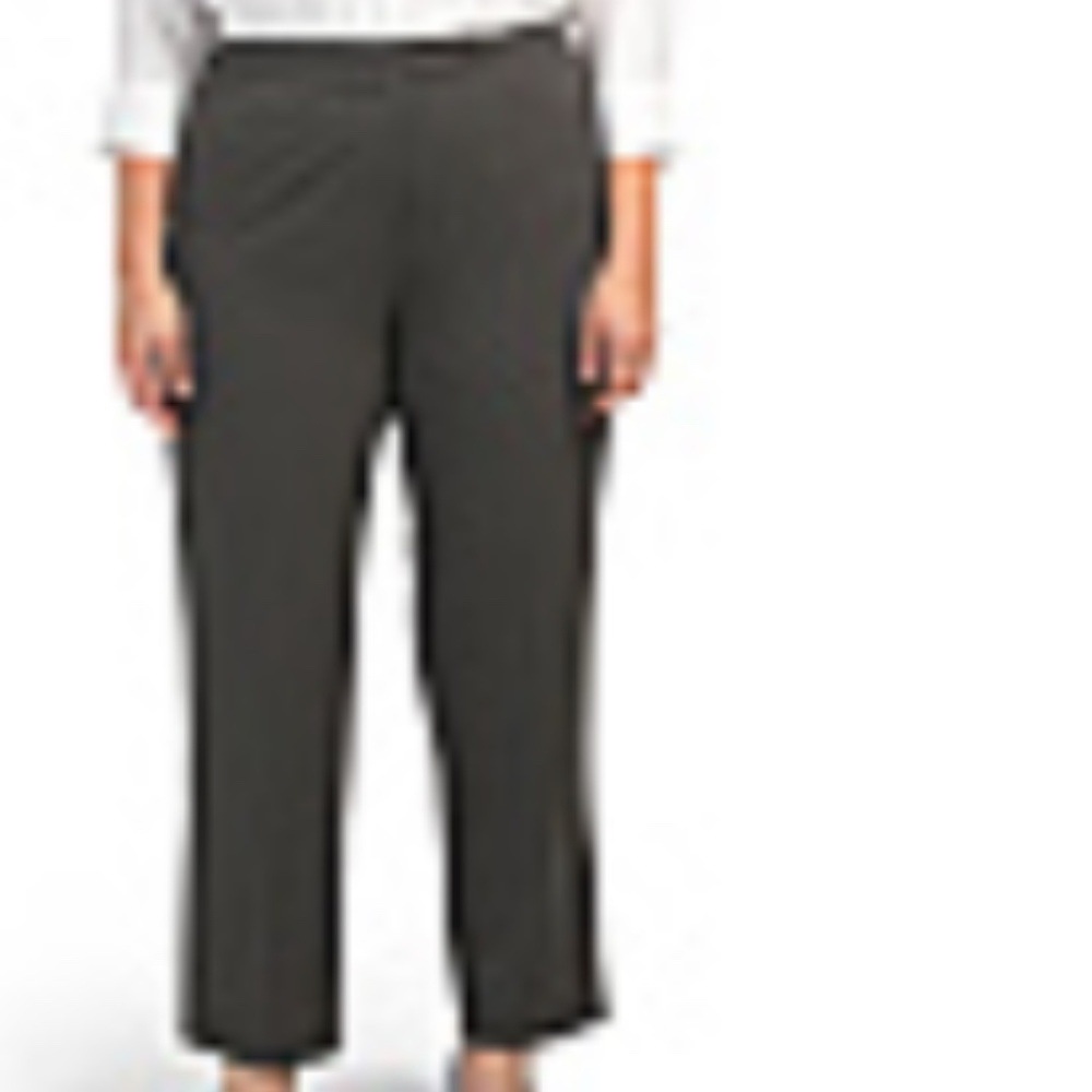 Plus Comfort Waist Classic Fit Pants